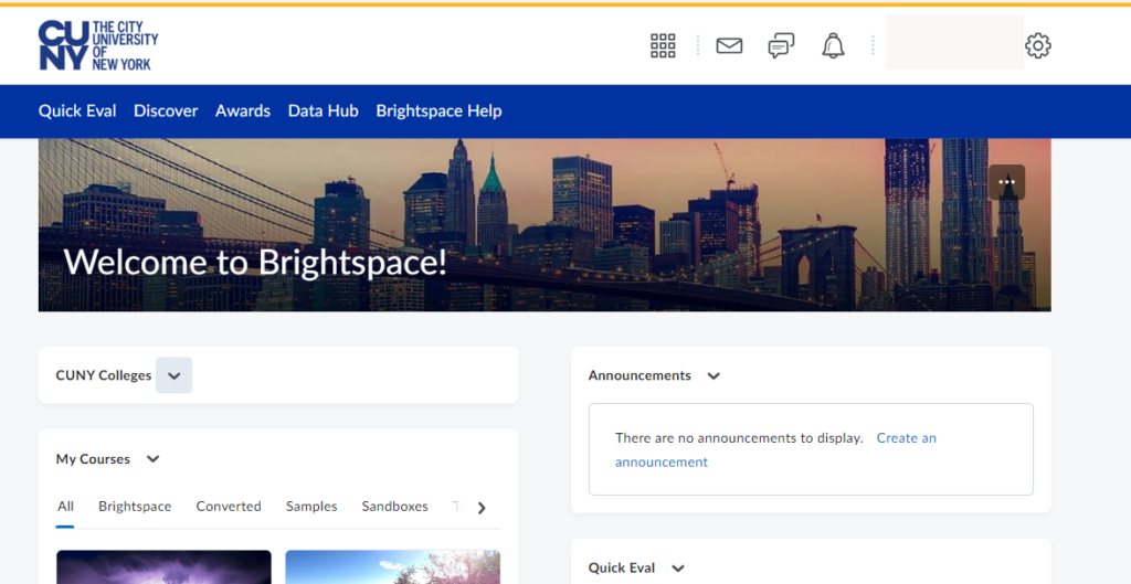 Brightspace Screenshot